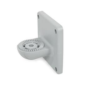  LSF.P Swivel clamps, plastic Type: AV - With external serration<br />Surface: 4 - Polyamide (PA), glass fiber reinforced, Gray matt, temperature resistant up to 100 °C, RAL 7040<br />x<sub>1</sub>: 75
