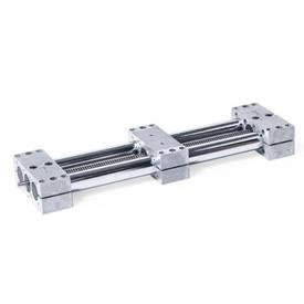 Double tube linear units with one single guide element, standard lengths